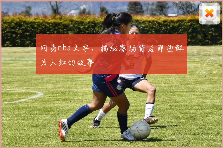 网易nba文字,揭秘赛场背后那些鲜为人知的故事