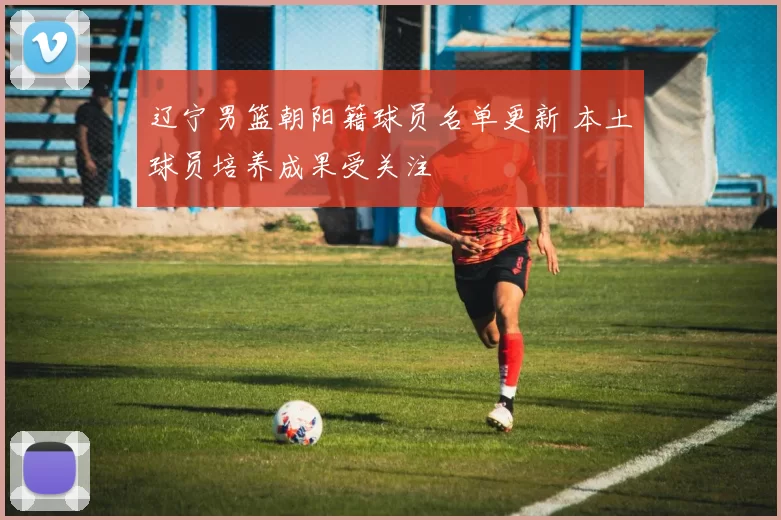辽宁男篮朝阳籍球员名单更新 本土球员培养成果受关注