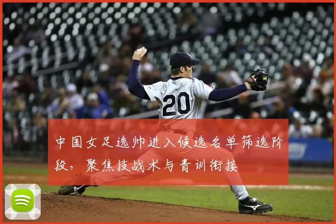 中国女足选帅进入候选名单筛选阶段，聚焦技战术与青训衔接