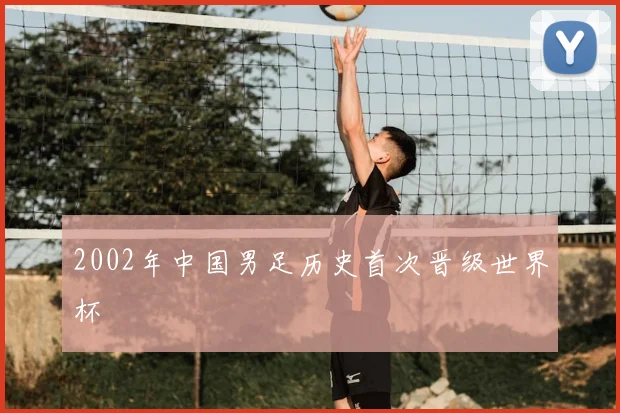 2002年中国男足历史首次晋级世界杯